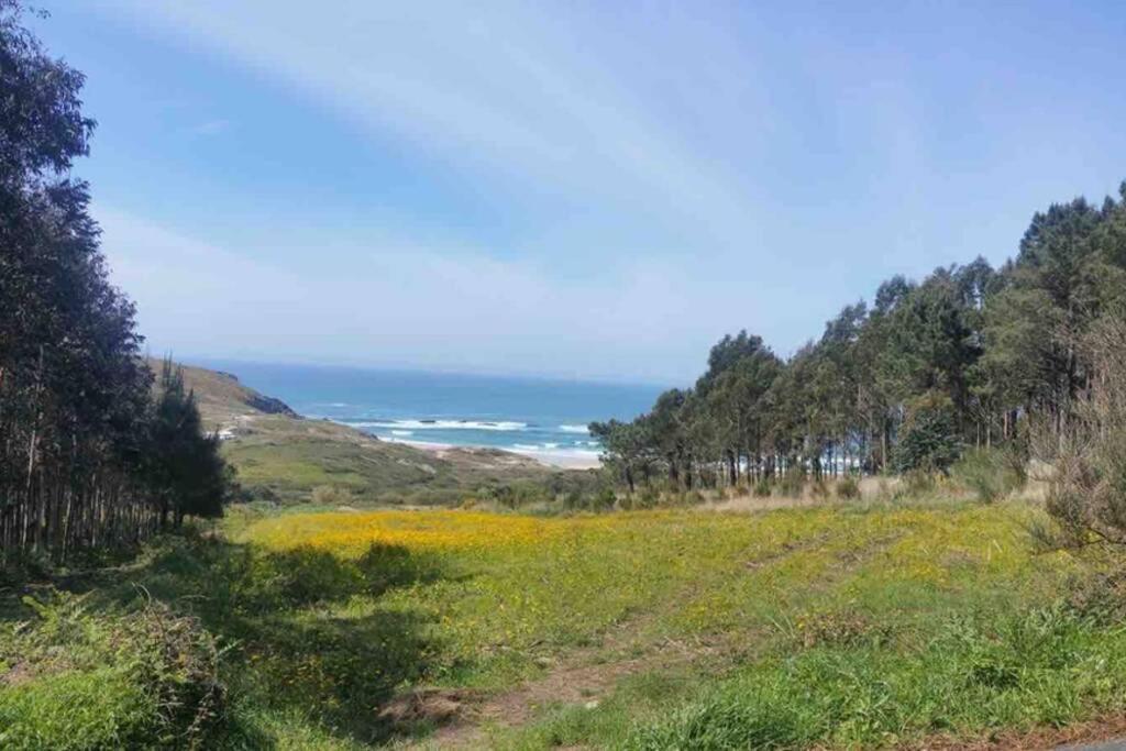Апартаменти Junto Camino De Santiago,1ª Linea De Playa Фістерра Екстер'єр фото