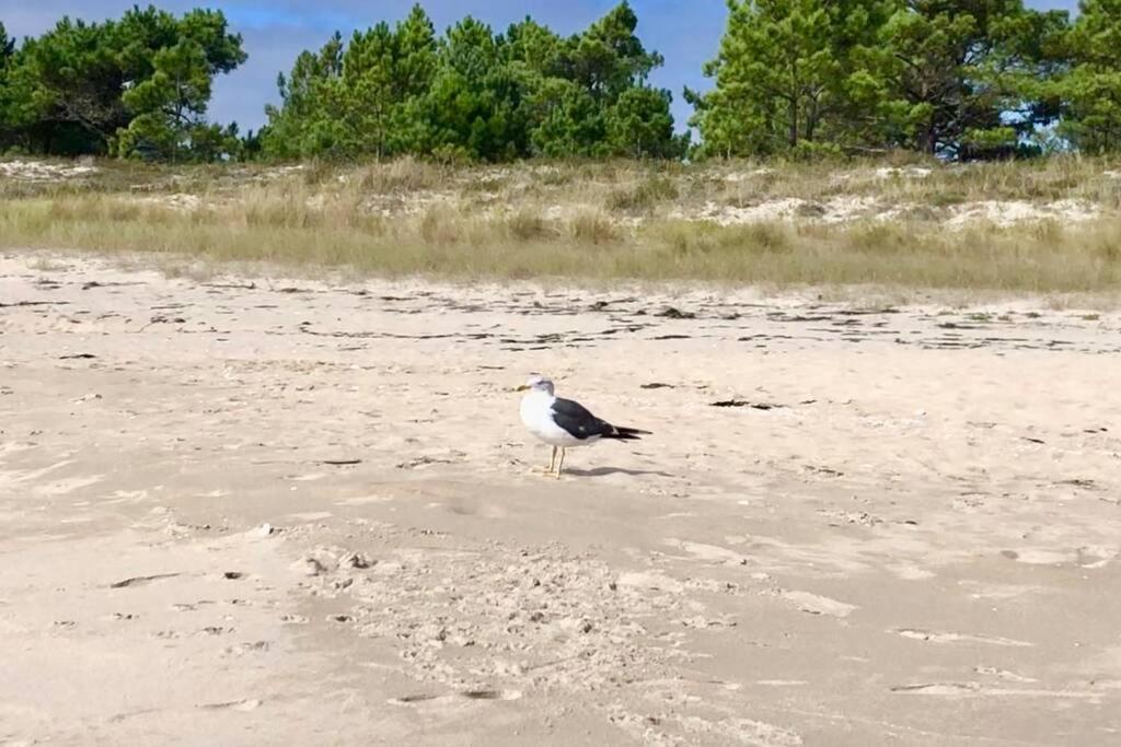 Апартаменти Junto Camino De Santiago,1ª Linea De Playa Фістерра Екстер'єр фото